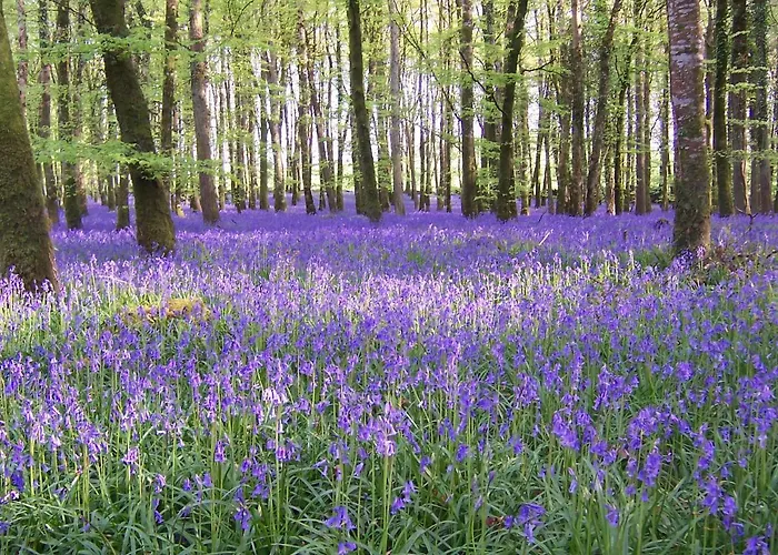 度假居 Carrickamore 波伊尔